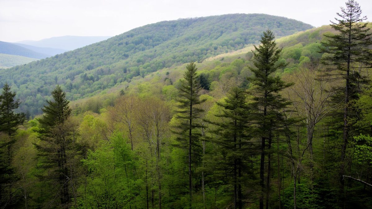 Holiday Pocono gated residential community