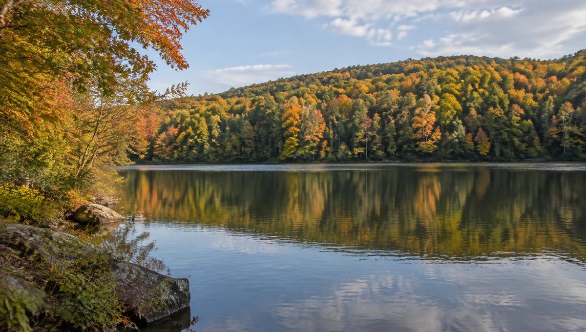 Early-autumn hardwoods in orange and gold lining a calm Pocono lake shoreline, reflected in still water under soft afternoon light